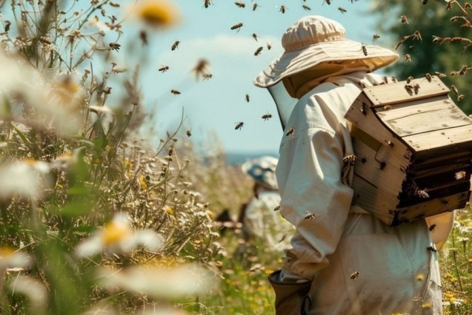 Petek ve Bal Birliği Derneği