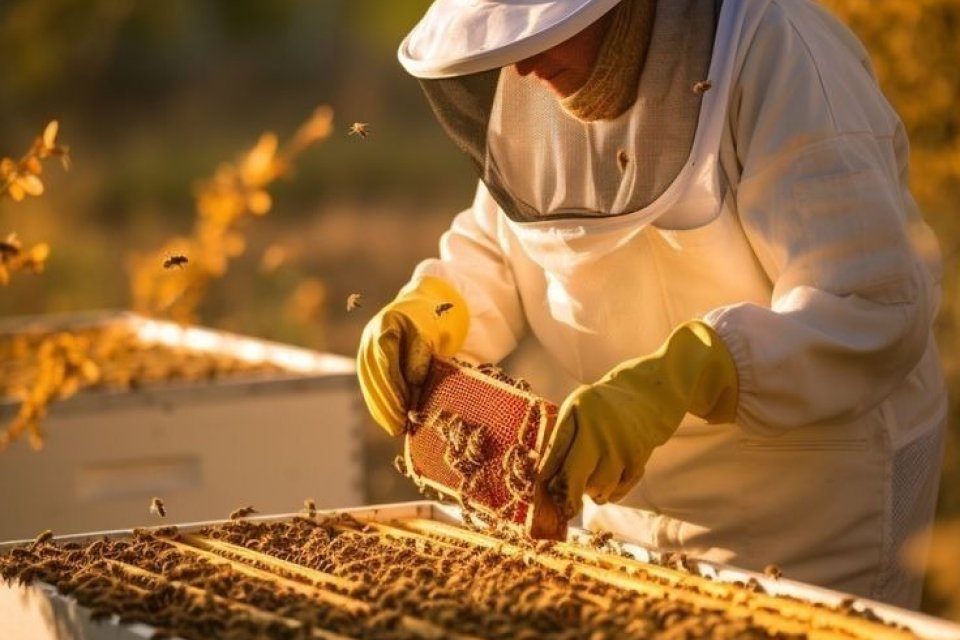 Petek ve Bal Birliği Derneği